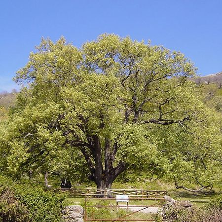 Casa Rural Romanejo Cabezabellosa المظهر الخارجي الصورة